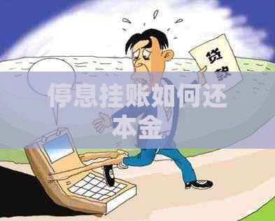停息挂账如何还本金