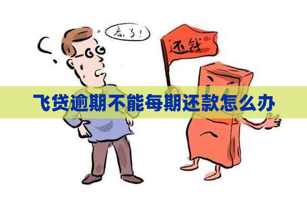 飞贷逾期不能每期还款怎么办