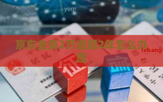 京东金条2万逾期2年怎么办理