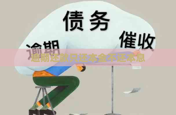 逾期还款只还本金不还本息