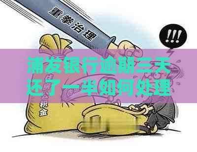 浦发银行逾期三天还了一半如何处理