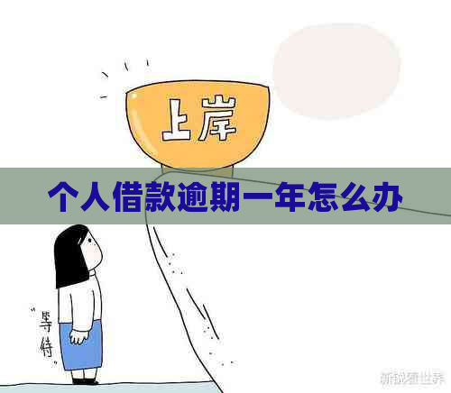 个人借款逾期一年怎么办