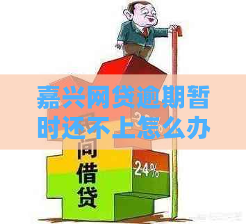 嘉兴网贷逾期暂时还不上怎么办怎么解决