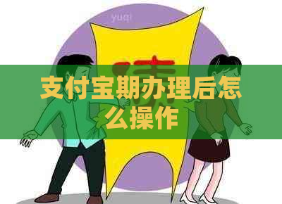 支付宝期办理后怎么操作