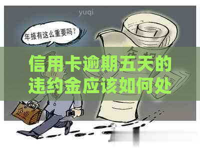 信用卡逾期五天的违约金应该如何处理