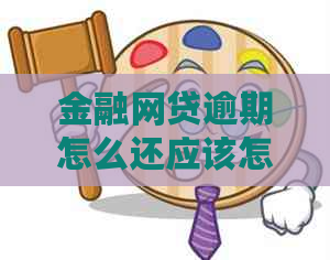 金融网贷逾期怎么还应该怎么处理