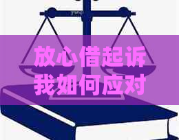 放心借起诉我如何应对