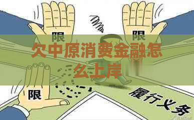 欠中原消费金融怎么上岸