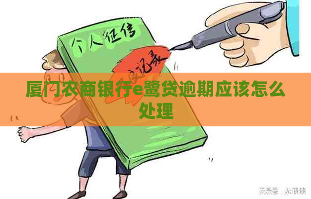 厦门农商银行e鹭贷逾期应该怎么处理