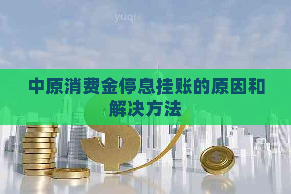 中原消费金停息挂账的原因和解决方法