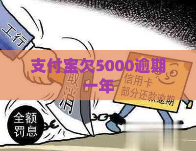 支付宝欠5000逾期一年