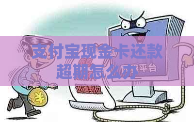 支付宝现金卡还款超期怎么办