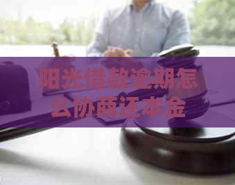 阳光借款逾期怎么协商还本金