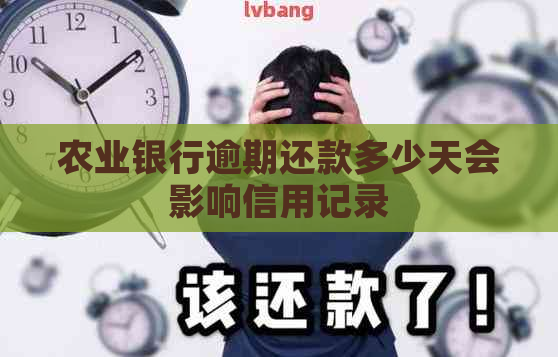 农业银行逾期还款多少天会影响信用记录