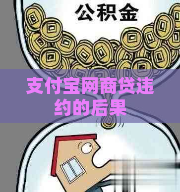 支付宝网商贷违约的后果