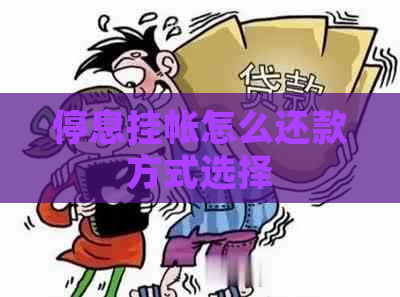 停息挂帐怎么还款方式选择