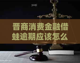 晋商消费金融借蛙逾期应该怎么处理