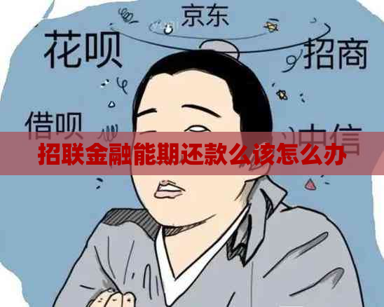 招联金融能期还款么该怎么办