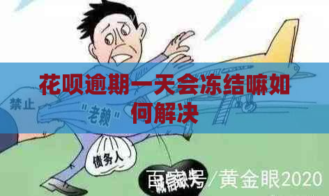 花呗逾期一天会冻结嘛如何解决