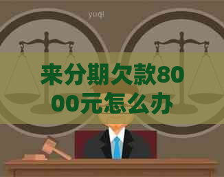 来分期欠款8000元怎么办