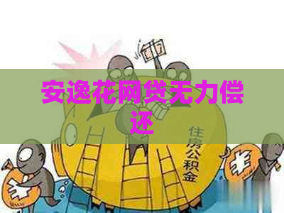 安逸花网贷无力偿还