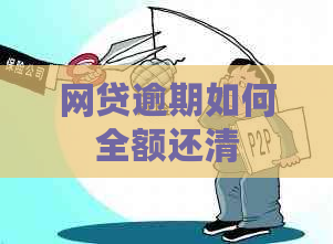 网贷逾期如何全额还清