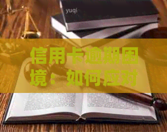 信用卡逾期困境：如何应对员的无休止电话