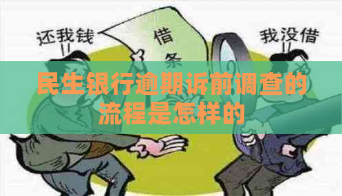 民生银行逾期诉前调查的流程是怎样的