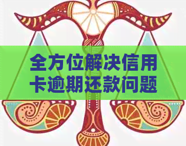 全方位解决信用卡逾期还款问题：专业公司提供个性化服务和解决方案