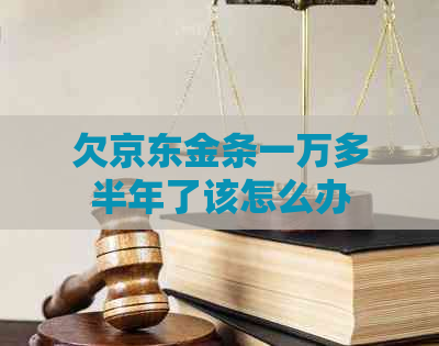 欠京东金条一万多半年了该怎么办