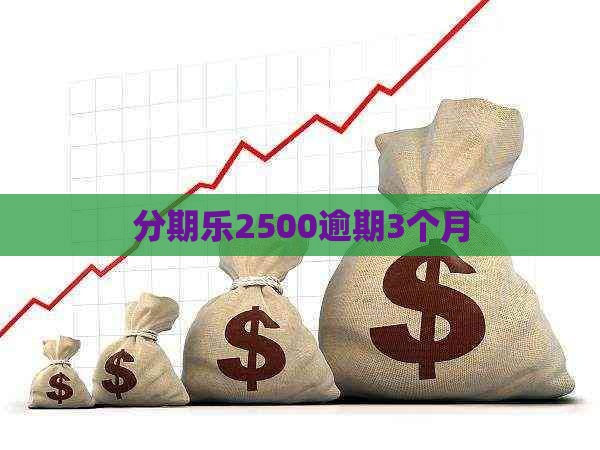 2500逾期3个月