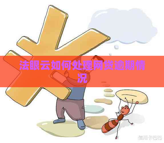 法眼云如何处理网贷逾期情况