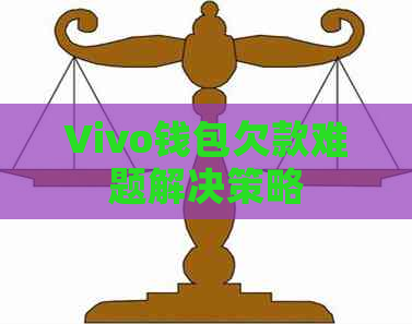 Vivo钱包欠款难题解决策略