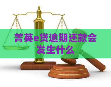 菁英e贷逾期还款会发生什么