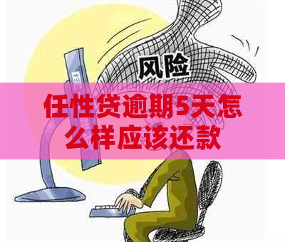 任性贷逾期5天怎么样应该还款