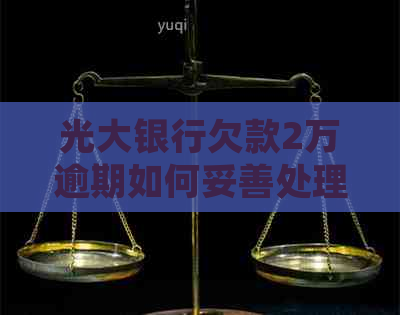 光大银行欠款2万逾期如何妥善处理