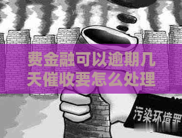 费金融可以逾期几天要怎么处理