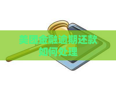 美团金融逾期还款如何处理