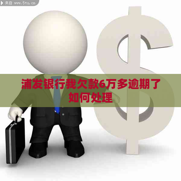 浦发银行我欠款6万多逾期了如何处理