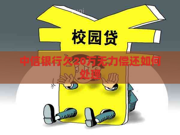 中信银行欠20万无力偿还如何处理