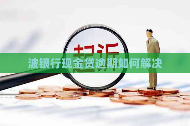 波银行现金贷逾期如何解决