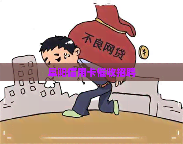 阜阳信用卡招聘