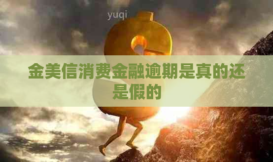 金美信消费金融逾期是真的还是假的