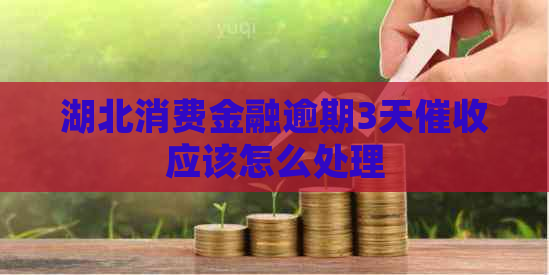 湖北消费金融逾期3天应该怎么处理