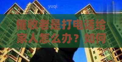 老是打电话给家人怎么办？如何处理这一情况？