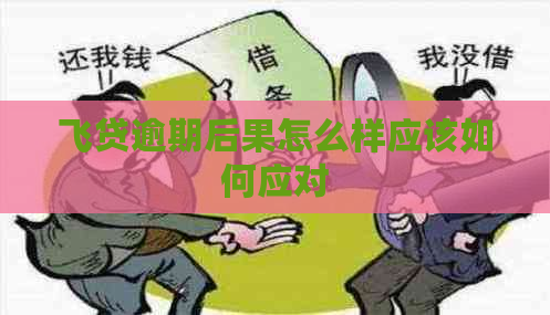 飞贷逾期后果怎么样应该如何应对