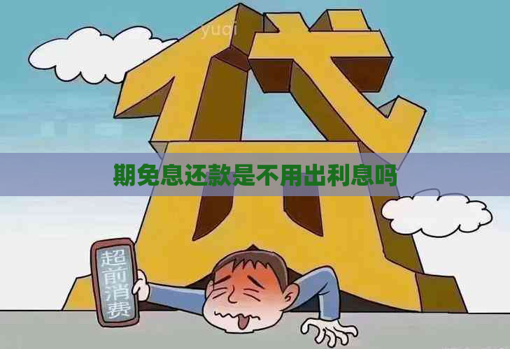 期免息还款是不用出利息吗