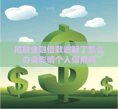 招联金融借款逾期了怎么办会影响个人信用吗