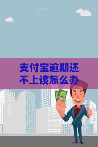 支付宝逾期还不上该怎么办应对措