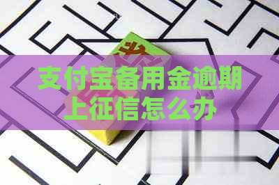 支付宝备用金逾期上怎么办